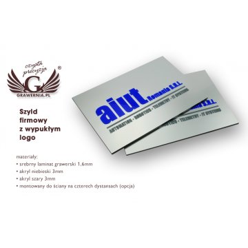 SZYLD FIRMOWY z WYPUKŁYM LOGO - kolorowy - SZ076 - wymiary 200x300mm