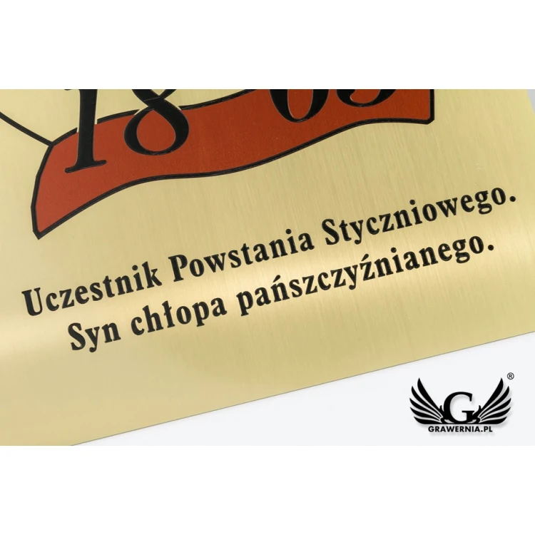 Tabliczka - mosiądz szczotkowany, grawerowana frezami - CNC - kolor nadruk UV - wym. 250x200mm - TAB113