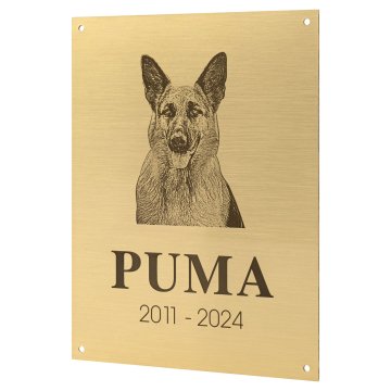 Mosiężna tabliczka pamiątkowa z grawerem - mosiądz szczotkowany i lakierowany - wym. 150x200 mm - TAB681